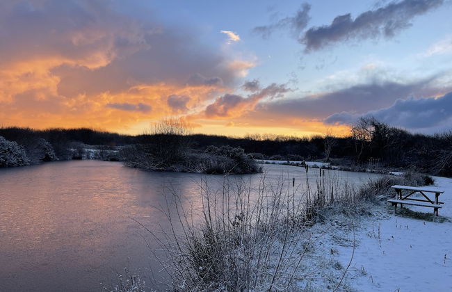 Foxglove - Luxurious Barn Conversion - Foto 42