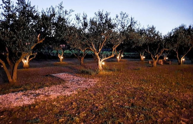 Holiday Home Olive Paradise - Photo 27