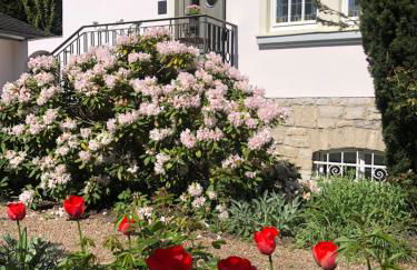 Villa Rosa - Sky - Foto 16