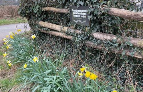 Blackthorn Meadow - Photo 12