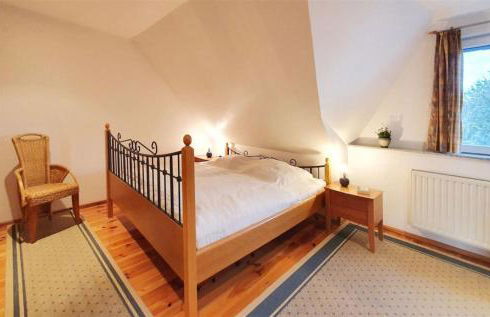 Strelitzie - Foto 10