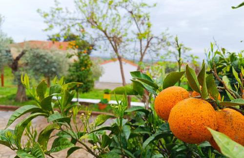 Grandmas Cottage - Photo 68