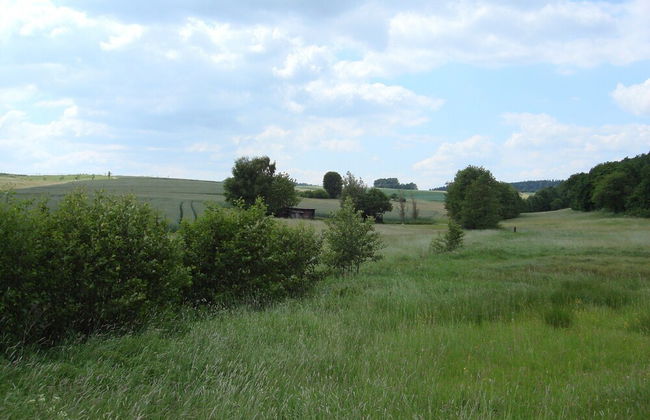 Home With Garden, Hallenberg - Foto 22