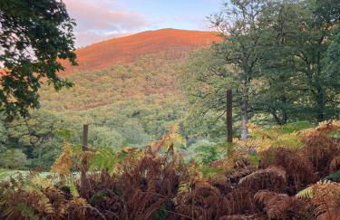 Cadwgan House - Foto 25