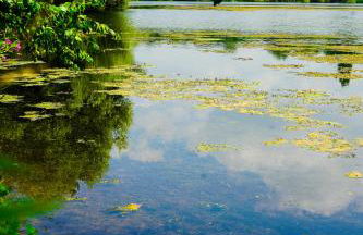The Dairy at Lodge Farm - Photo 26