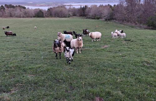 Pleasant Point Holiday Cottages - Foto 109