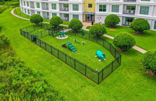 Pet friendly in Orlando area near Disney and ESPN Center - Foto 30
