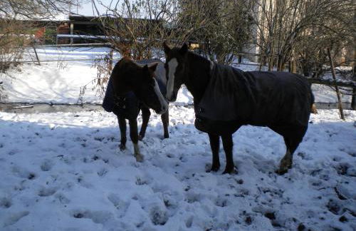 Villa Mainardi Agriturismo - Foto 51