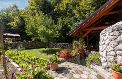 Apartaman Goga - Foto 2