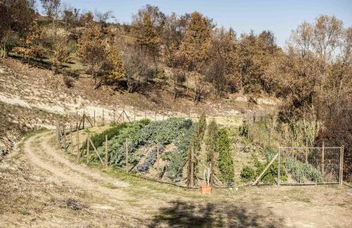 Azienda Agrituristica Alcastlè - Foto 57