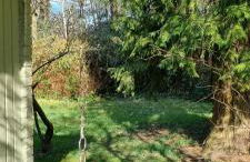 The Cottages - Pet Friendly - Photo 57