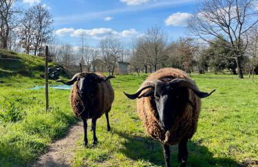 Chão do Rio - Turismo de Aldeia - Foto 4