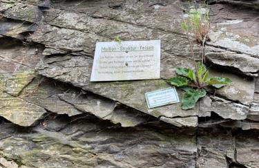 Berg Blick Eifler Bauernhaus modern restauriert - Photo 37