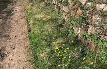 Bosun's Bude - Foto 37