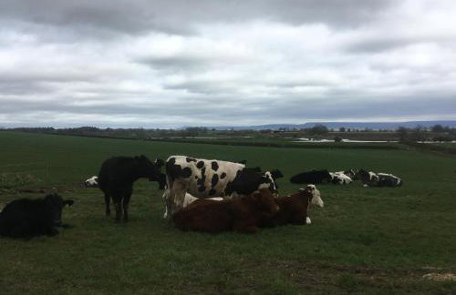 High Oak Holiday Cottage - Foto 29