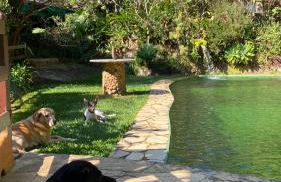 Chalé Laranja - Sítio Caldeirão - Foto 33