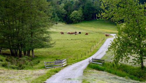 Erholung an den Wasserfällen - Ferienwohnung in Baden-Baden - Stilvolles Apartment mit Terrasse, Parkplatz & ruhiger Lage - Foto 5