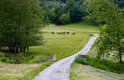 Erholung an den Wasserfällen - Ferienwohnung in Baden-Baden - Stilvolles Apartment mit Terrasse, Parkplatz & ruhiger Lage - Foto 5