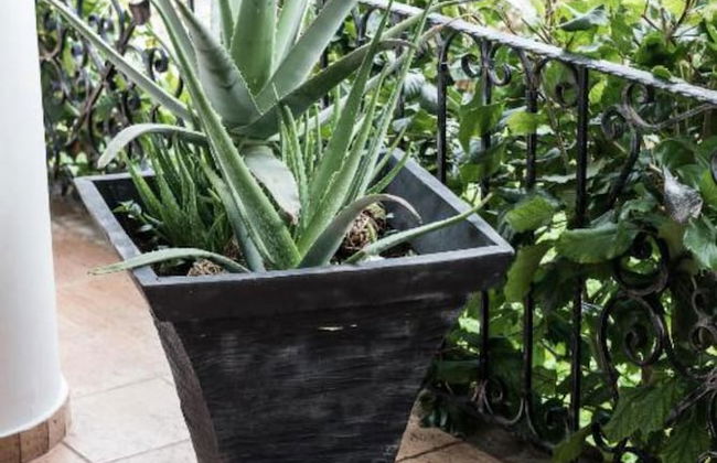 Zen Serenity Retreat - Foto 37