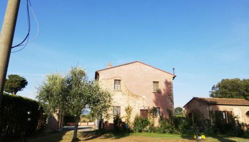 L'Aia degli olivi - Foto 2