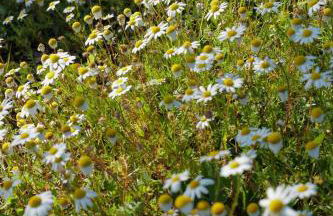 Alàpega, Live Slow - Photo 40