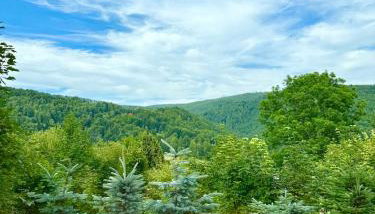 Pod Srebrzystym Świerkiem - Jacuzzi - Foto 5