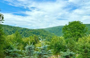 Pod Srebrzystym Świerkiem - Jacuzzi - Foto 5