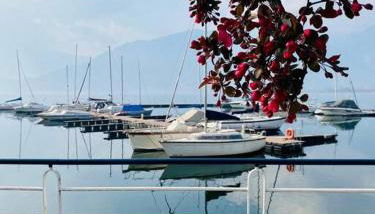 Casa vacanze il pettirosso. - Foto 5