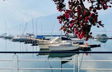 Casa vacanze il pettirosso. - Foto 5