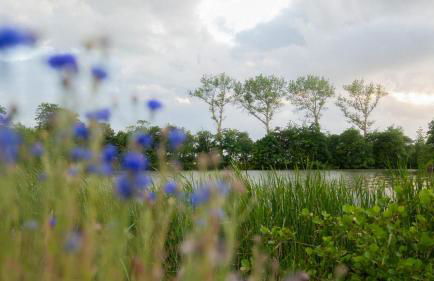 Schillhörn - Urlaub mit Wasserblick - Photo 30