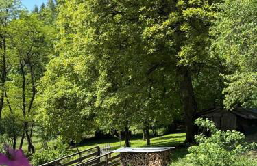 La Piccola Noghera - Foto 29