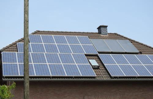 Moselweinlaub - Foto 11