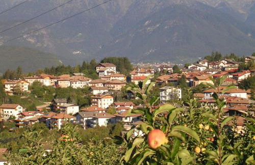 Agritur Rizzi di Inama Ugo - Foto 77