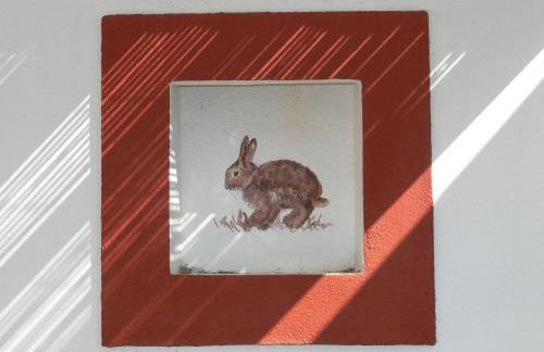 Monte Do Areeiro - Foto 14