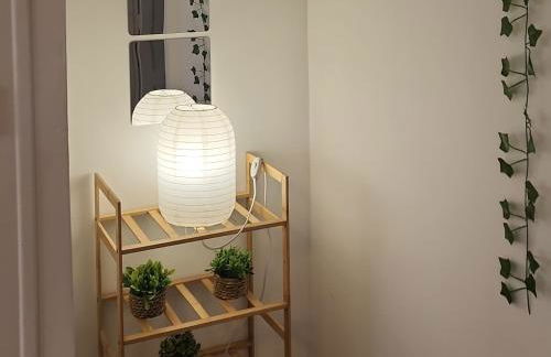 Charmant T2 avec terrasse jardin et parking privé, à 2 minutes du centre ville ! - Foto 13