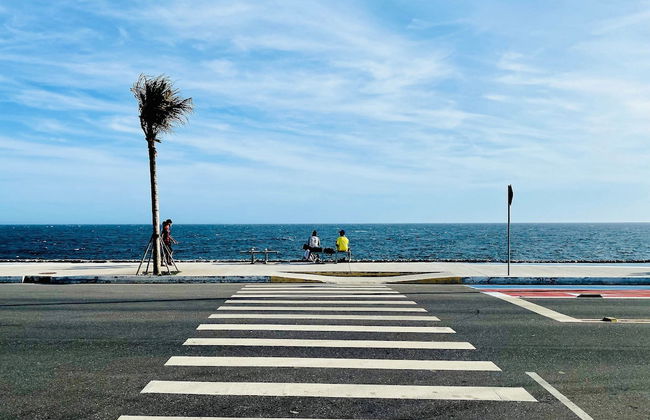 Rua Professor Nelson Rabello - Foto 19
