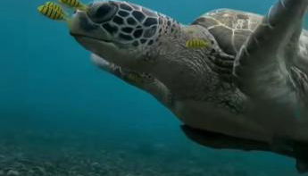 Seaview Faro Arinaga - Foto 3