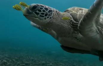 Seaview Faro Arinaga - Photo 3