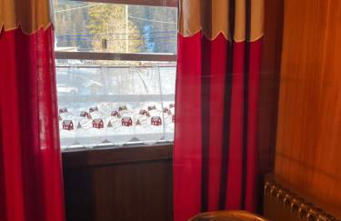 Flora Alpina apartments - Residenza Bieltschocke - Foto 10