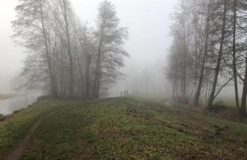 Waldblick Forest Retreat - Foto 45