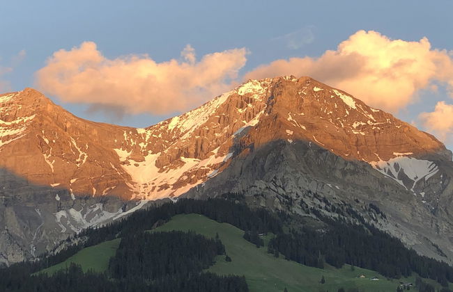 Sunnegruess - Foto 12