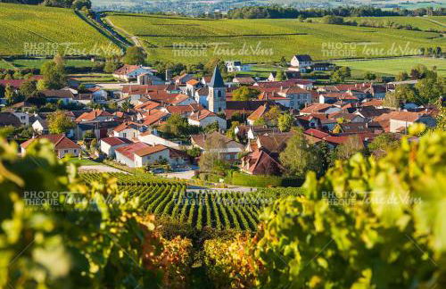 Maison éco-chic 4 chambres proche Lac et Troyes jardin WiFi nigloland - Foto 70