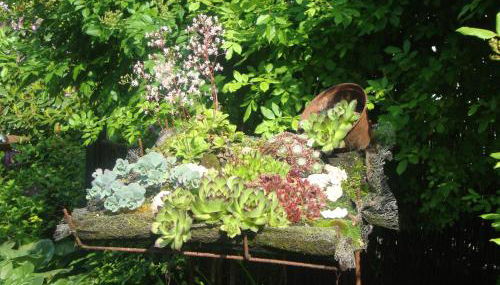 Tauchparadies Kreidesee - Foto 5