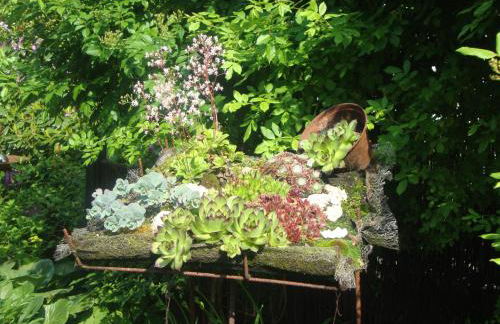 Tauchparadies Kreidesee - Foto 5