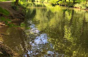 Apartment Gartenblick by Interhome - Foto 27