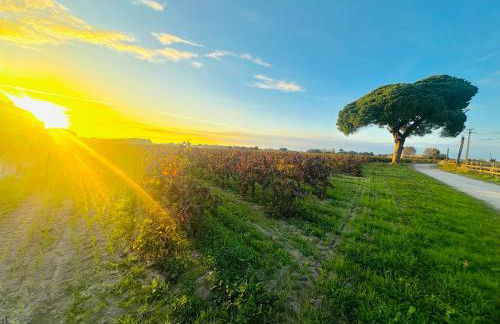 Les Appartements du Mas - Rose Marie - Foto 43