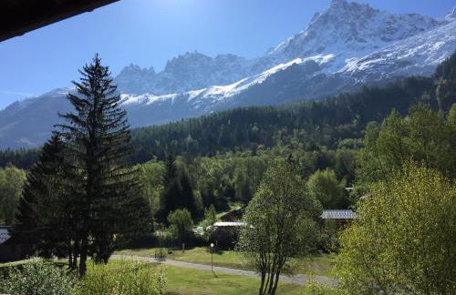 Appartement face au Mont Blanc & Glaciers - Photo 17