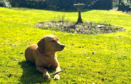 3 Bed in Hawkshead oc-llh24 - Foto 6