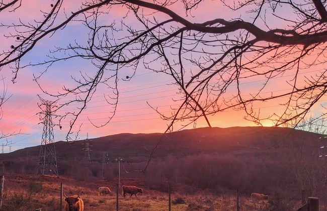 River View Cottage in Perthshire - Foto 9