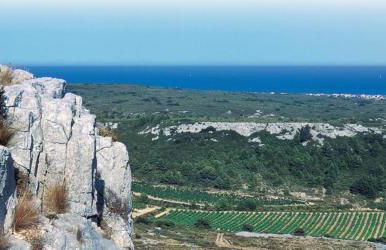 Gîte des Vignerons - Foto 15